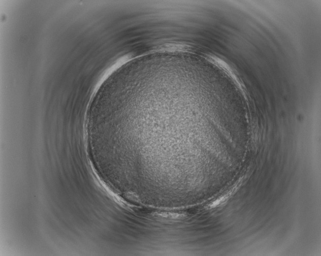 X0000087671235200705181656