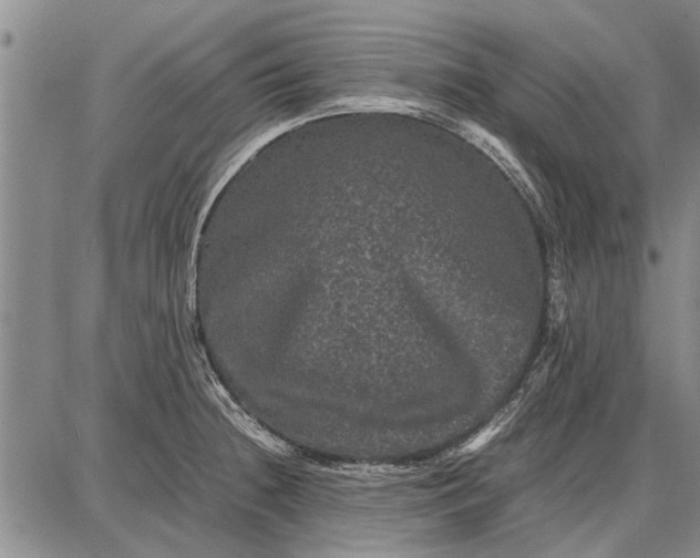 X0000087671236200705181656