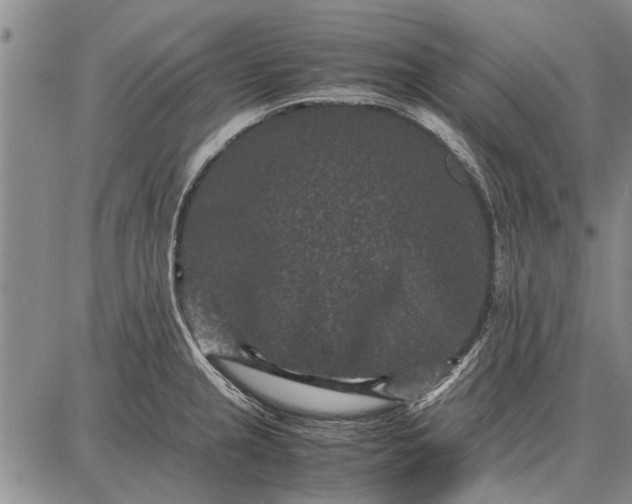 X0000087671237200705181656