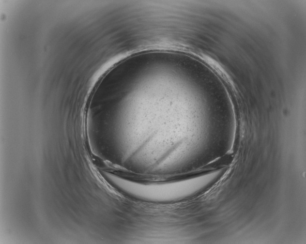 X0000087671238200705181656