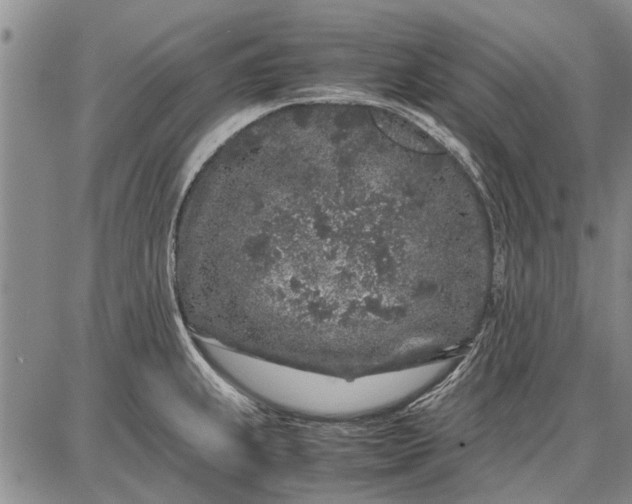 X0000087671239200705181656