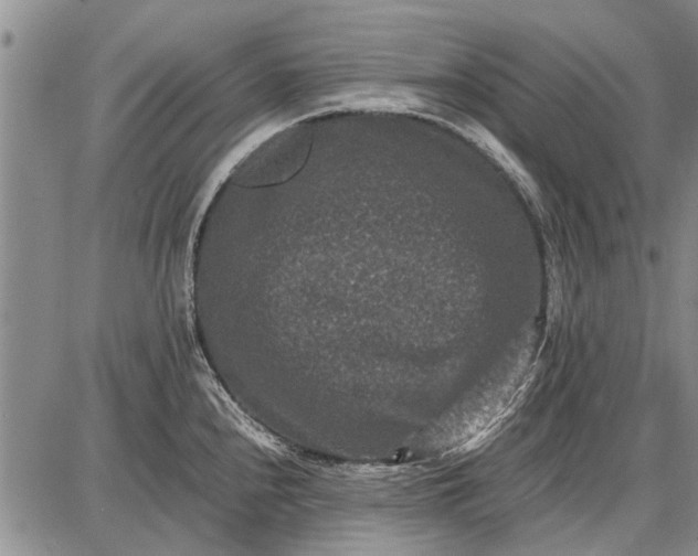 X0000087671240200705181657