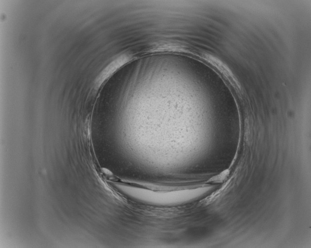 X0000087671241200705181657