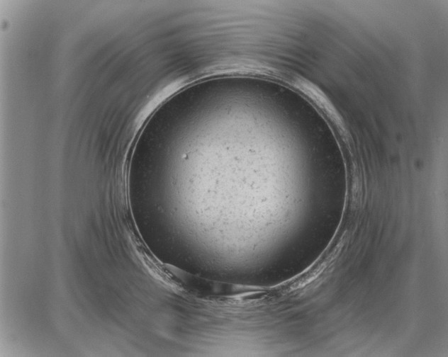 X0000087671242200705181657