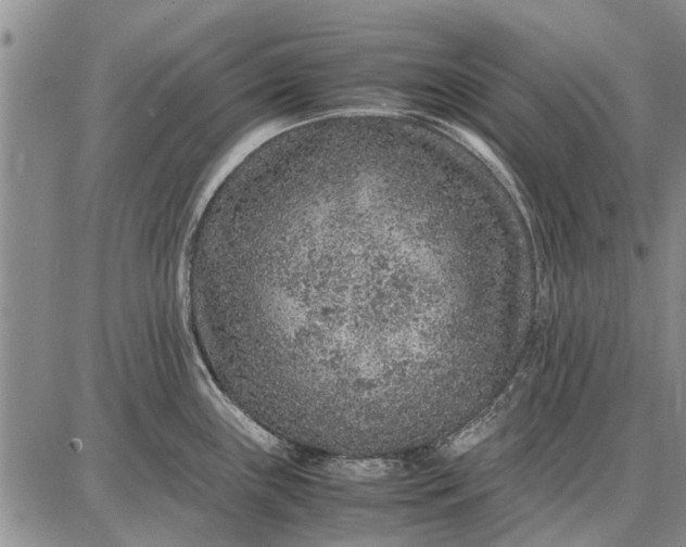 X0000087671243200705181657