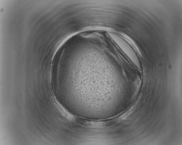 X0000087671244200705181657