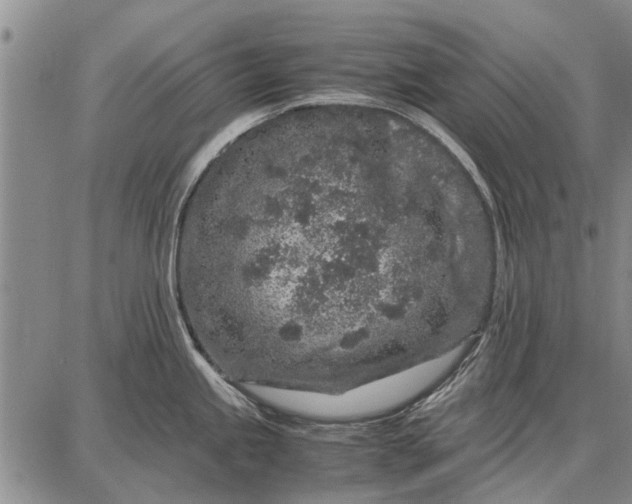 X0000087671245200705181657