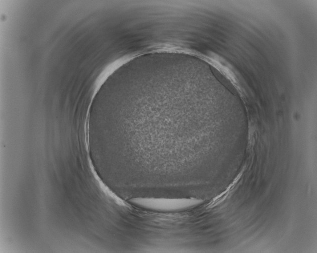 X0000087671247200705181657