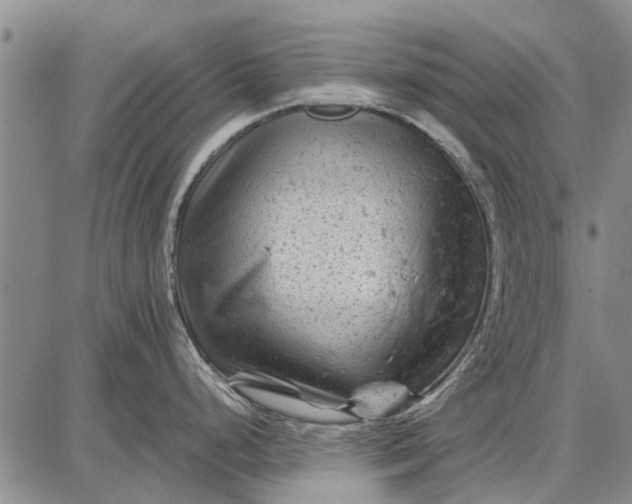 X0000087671248200705181657