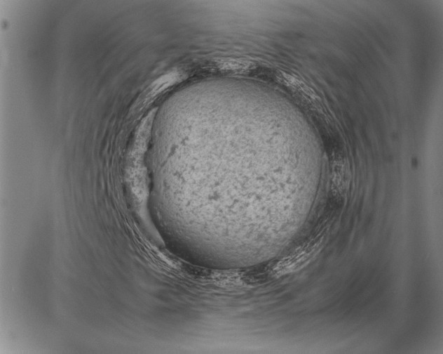 X0000087671249200705181656