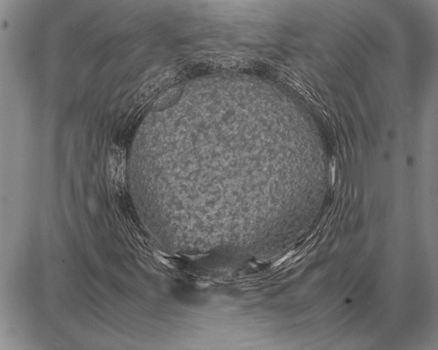 X0000087671251200705181656