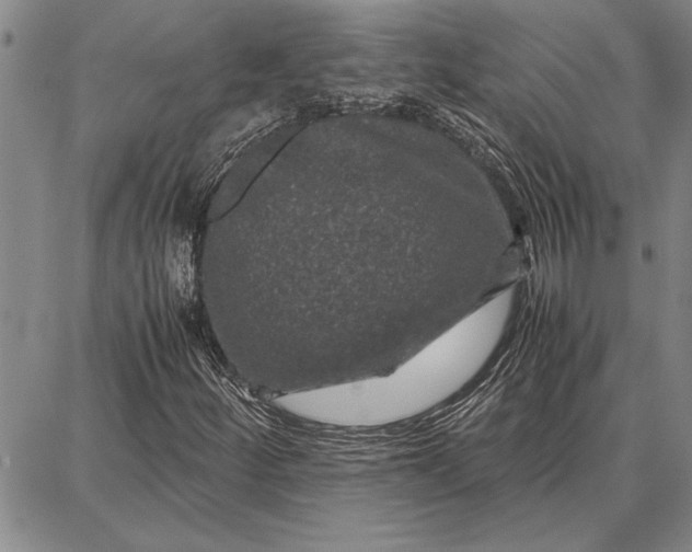 X0000087671252200705181656