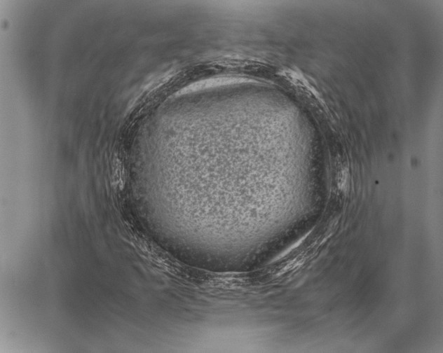 X0000087671253200705181656