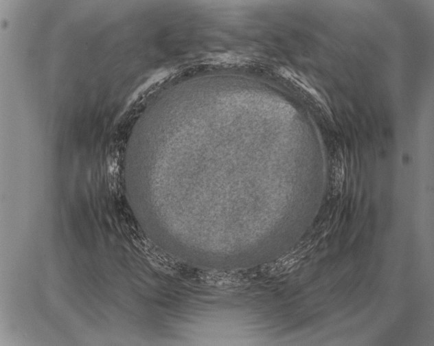 X0000087671254200705181656