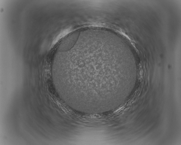 X0000087671255200705181656