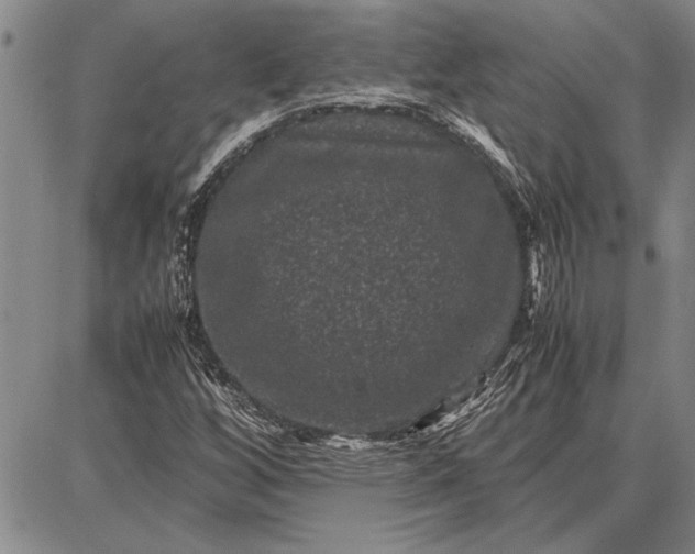 X0000087671256200705181656