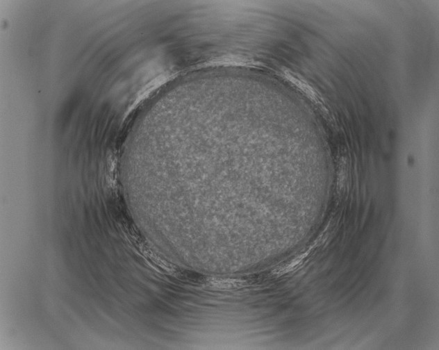 X0000087671258200705181656