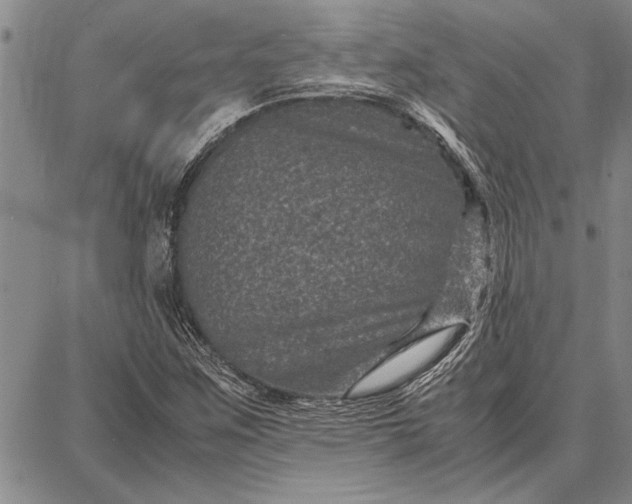 X0000087671259200705181656