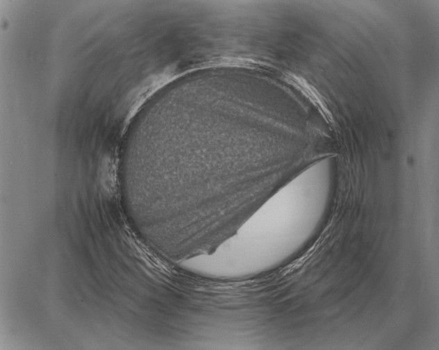 X0000087671260200705181656