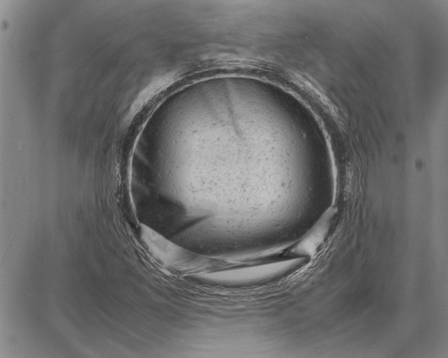 X0000087671261200705181656