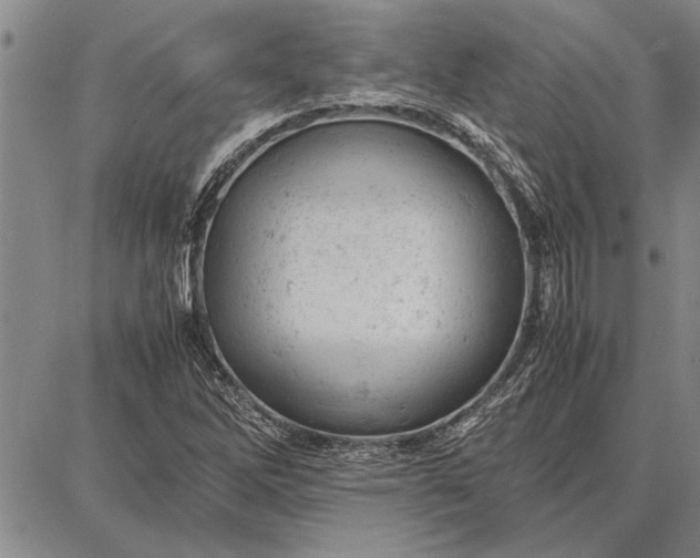 X0000087671262200705181656