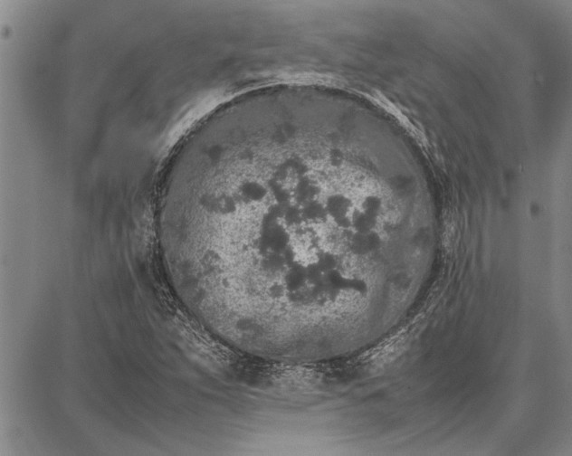 X0000087671263200705181656