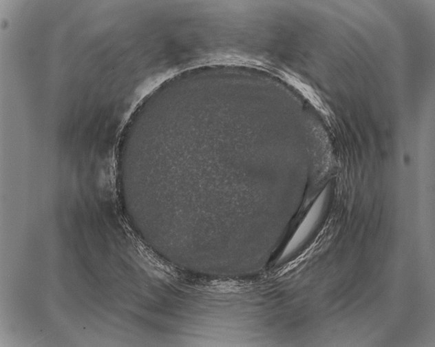 X0000087671264200705181656