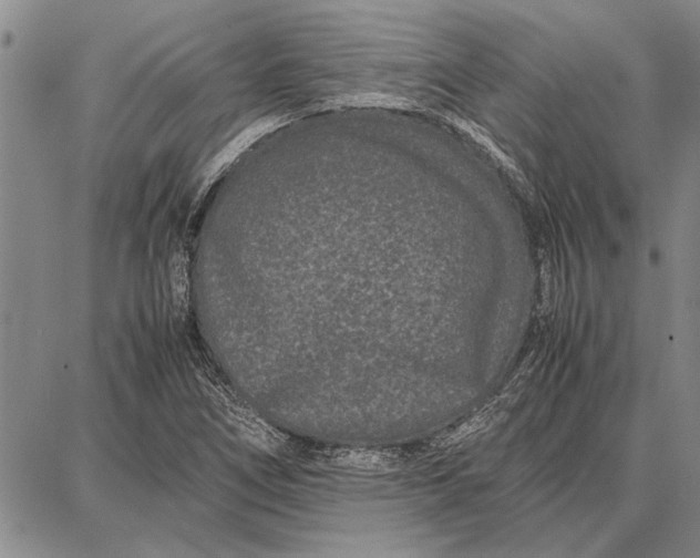 X0000087671266200705181656