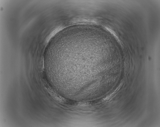 X0000087671267200705181656