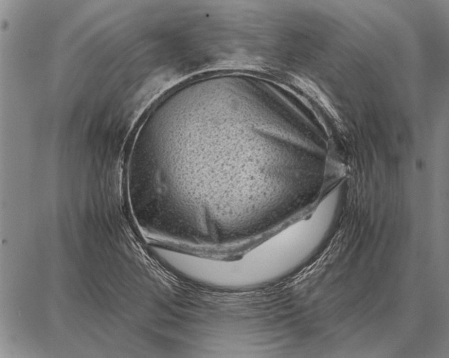 X0000087671268200705181656