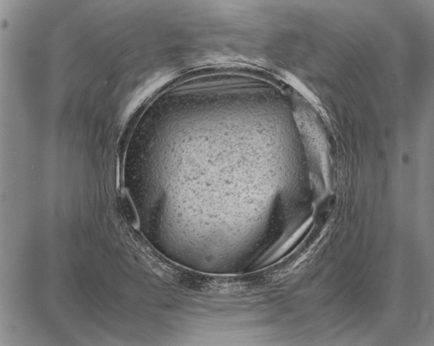 X0000087671269200705181656