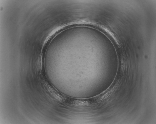 X0000087671270200705181656