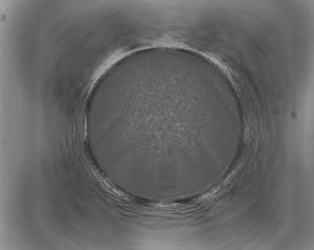 X0000087671271200705181656