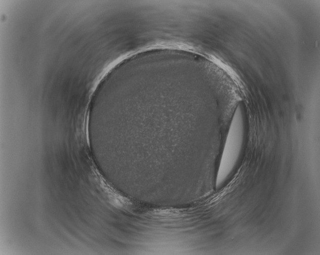 X0000087671272200705181655