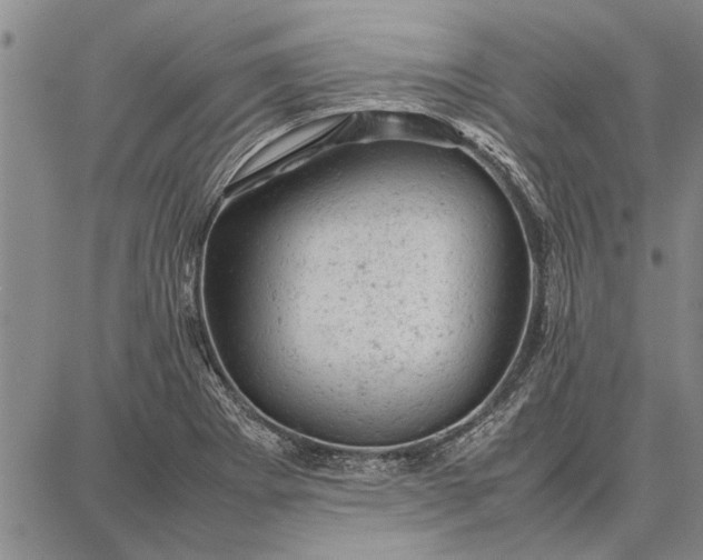 X0000087671273200705181655