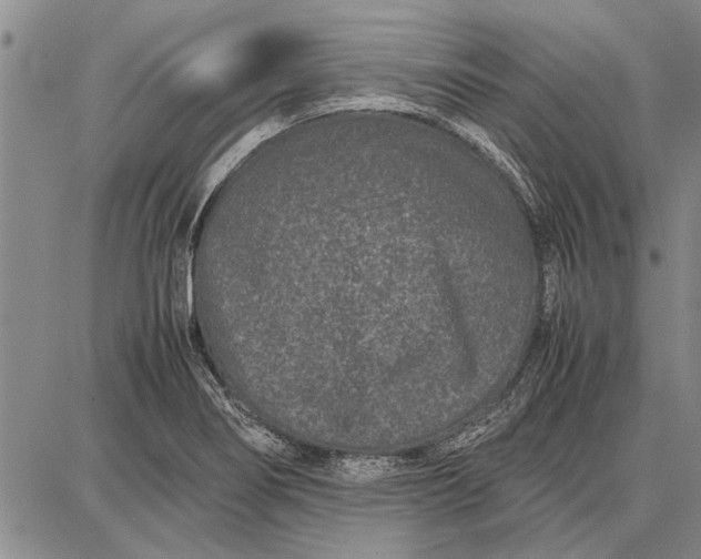 X0000087671274200705181655