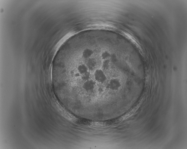 X0000087671275200705181655