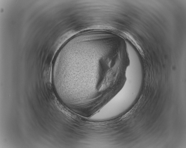 X0000087671276200705181655