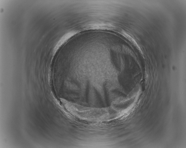 X0000087671277200705181655