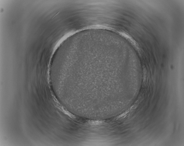 X0000087671278200705181655