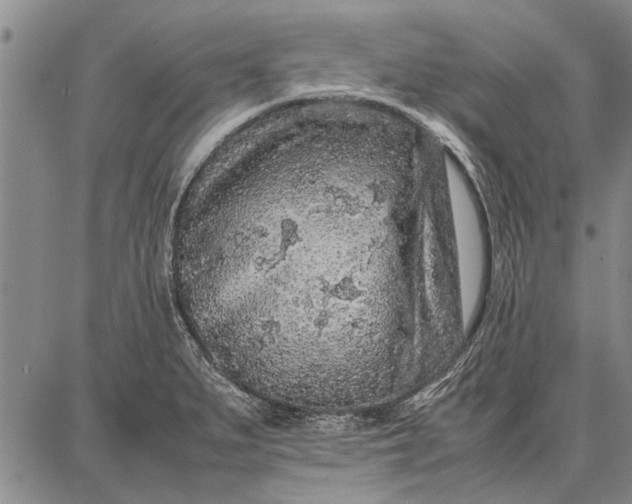 X0000087671279200705181655