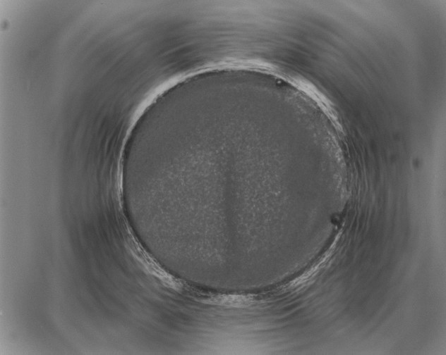 X0000087671280200705181655