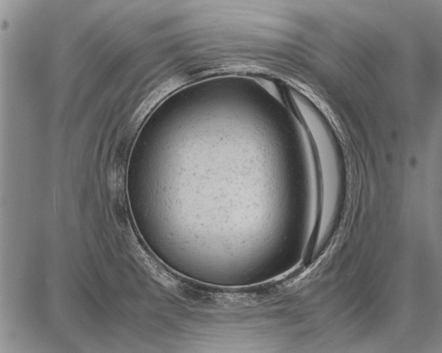 X0000087671281200705181655