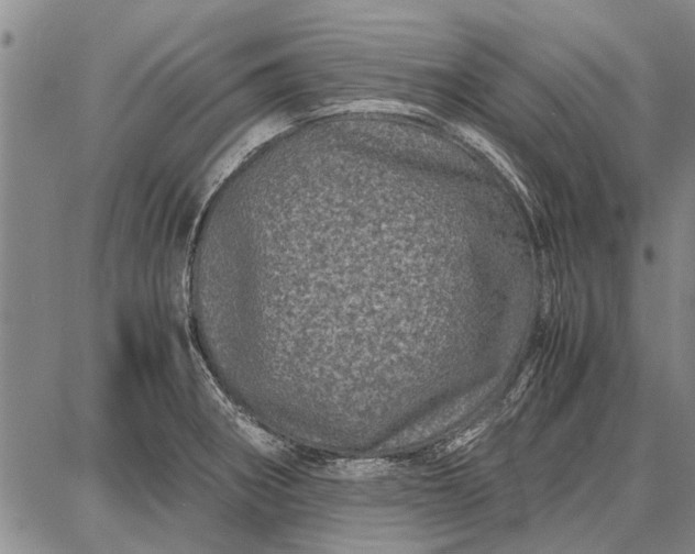 X0000087671282200705181655