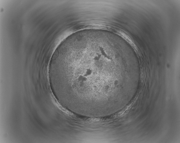 X0000087671283200705181655