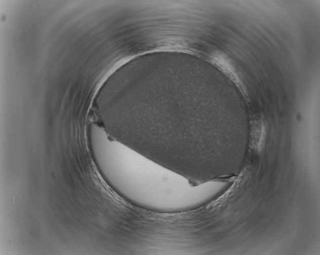 X0000087671284200705181655