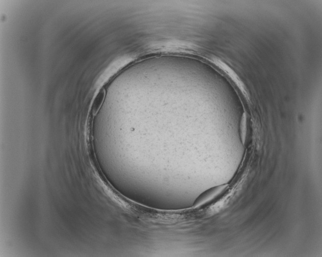 X0000087671285200705181655