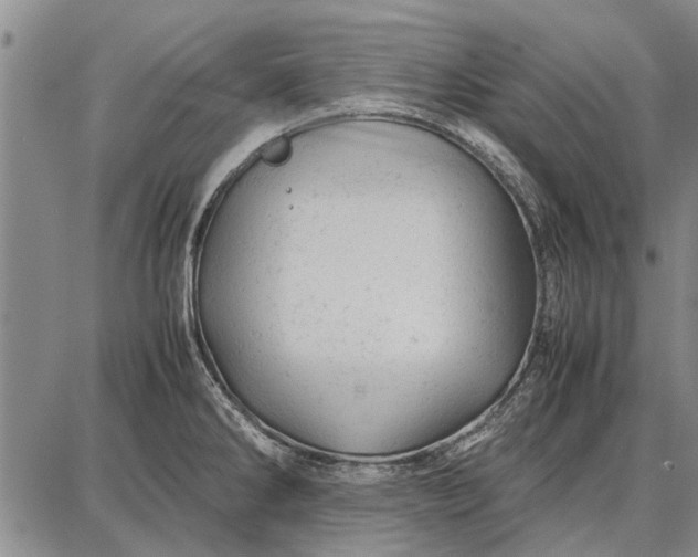 X0000087671286200705181655