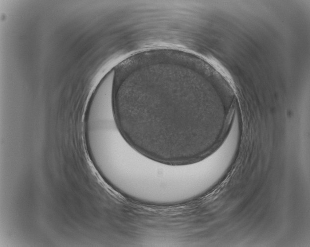 X0000087671287200705181655