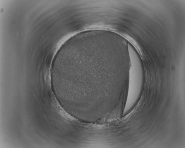 X0000087671288200705181655